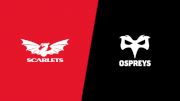 2022 Scarlets vs Ospreys Rugby