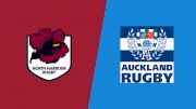 2022 North Harbour vs Auckland