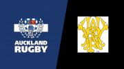 2022 Auckland vs Wellington - Women's