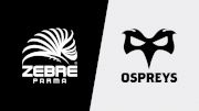 2023 Zebre Parma vs Ospreys Rugby