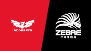 2022 Scarlets vs Zebre Parma