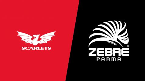 2022 Scarlets vs Zebre Parma