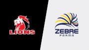 2023 Emirates Lions vs Zebre Parma