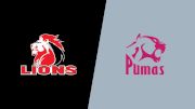 2023 Golden Lions vs Pumas