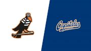 2023 Joliet Slammers vs Quebec Capitales