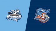 2023 Wilmington Sharks vs Peninsula Pilots