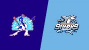 2023 Carolina Disco Turkeys vs Wilmington Sharks