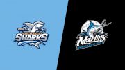 2023 Wilmington Sharks vs Morehead City Marlins - Doubleheader