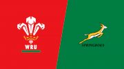 2023 Wales vs South Africa - Men's