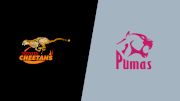 2023 Free State Cheetahs vs Pumas - Final