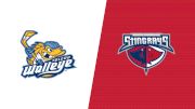 2024 Toledo Walleye vs South Carolina Stingrays