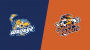 2024 Toledo Walleye vs Greenville Swamp Rabbits