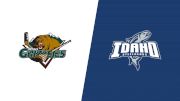 2024 Utah Grizzlies vs Idaho Steelheads