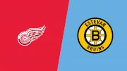 2024 Weyburn Red Wings vs Estevan Bruins
