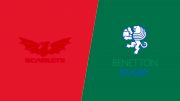 2024 Scarlets vs Benetton Rugby