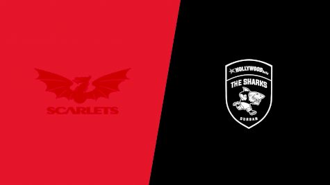 2024 Scarlets vs Sharks