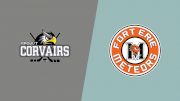 2024 Caledonia Pro-Fit Corvairs vs Fort Erie Meteors