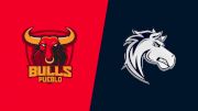 2024 Pueblo Bulls vs Ogden Mustangs