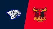 2024 Provo Predators vs Pueblo Bulls