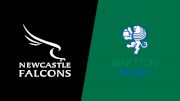 2024 Newcastle Falcons vs Benetton Rugby