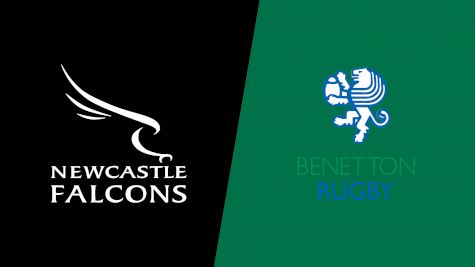 2024 Newcastle Falcons vs Benetton Rugby