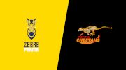 2023 Zebre Parma vs Toyota Cheetahs