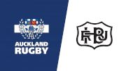 2023 Auckland vs Hawke's Bay