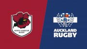 2023 North Harbour vs Auckland