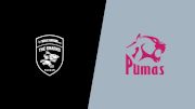 2023 Sharks XV vs Pumas - Semifinal