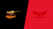 2022 Cheetahs vs Scarlets