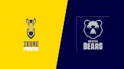 2022 Zebre Parma vs Bristol Bears