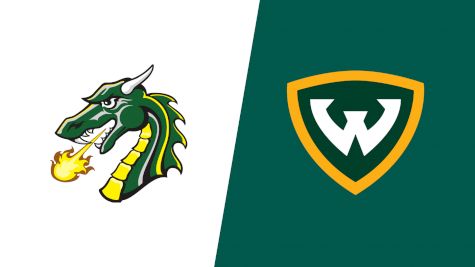 2023 Tiffin University vs Wayne State (MI) - Women's