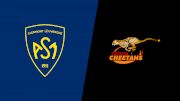 2024 ASM Clermont Auvergne vs Cheetahs