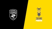 2024 Hollywoodbets Sharks vs Zebre Parma