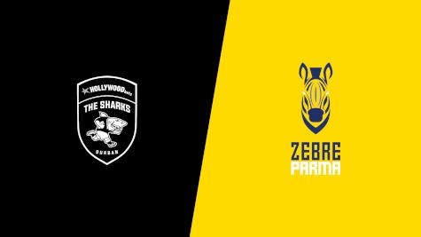 2024 Hollywoodbets Sharks vs Zebre Parma