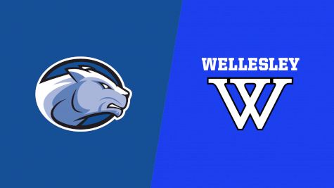 2024 Wheaton College vs Wellesley College - Field Hockey