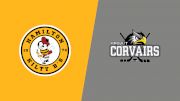 2024 Hamilton Kilty B's vs Caledonia Pro-Fit Corvairs