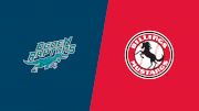 2024 Ogden Raptors vs Billings Mustangs