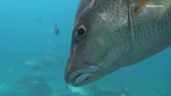 Valparaiso University Crusaders vs Grand Canyon Antelopes