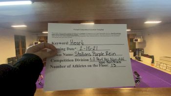 Alex Bay Recreation Cheer - Alex Bay Stallions Purple Rein [L2 Performance Recreation - 18 and Younger (NON) - NB] 2021 Varsity Recreational Virtual Challenge III